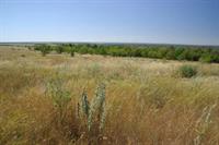 Вид на долину Северского Донца. На горизонте - собственно Донецкий кряж.